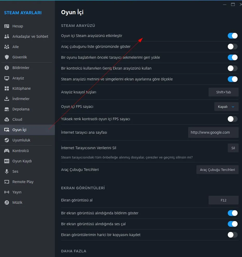 Steam Arayüzü